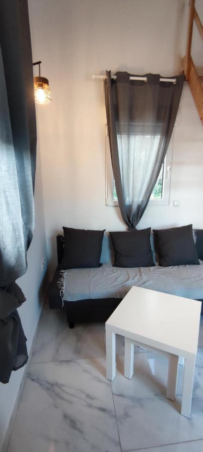 סלון-דו-ז'ירו Appartement Au Coeur Des Rizieres מראה חיצוני תמונה